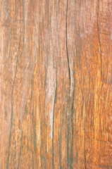 Old grunge wood texture for background