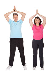 Active mature couple doing fitness