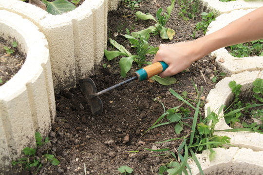 Binette outil jardinage main