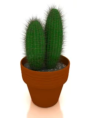 Poster de jardin Cactus en pot Cactus