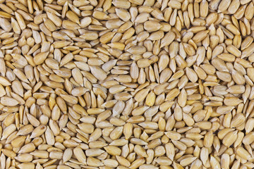 Sunflower seeds - 42010166