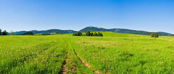 Spring landscape with road - 42012398