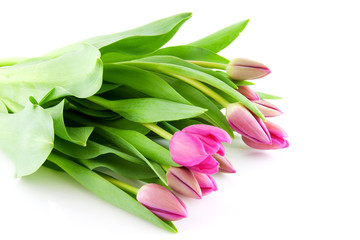 Bouquet of Pink Dutch tulips