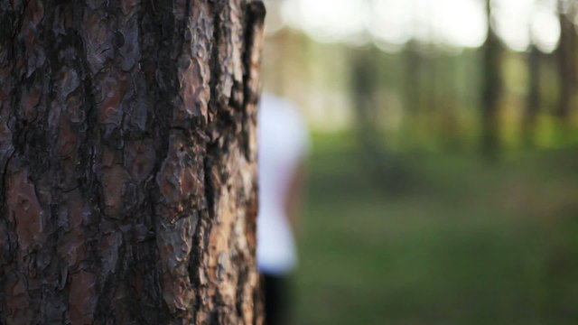 young woman hand and pine tree bark