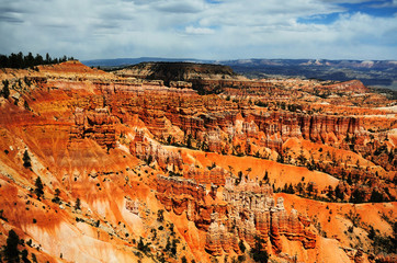 Fototapeta premium A View of Bryce Canyon