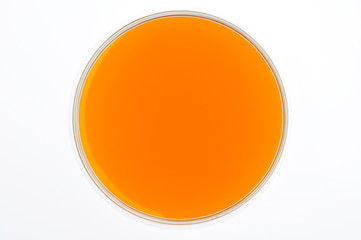 orange juice in glass isolated