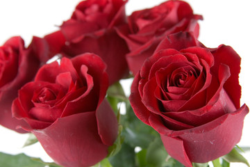 Bouquet of red roses