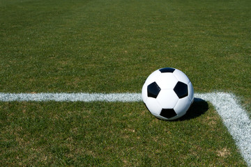 Fototapeta na wymiar Soccer Ball on the Field