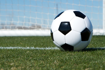 Soccer Ball near the Goal