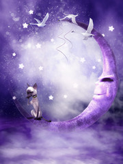 Fioletowy księżyc z kotem i łabędziami - obrazy, fototapety, plakaty