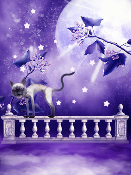 Fioletowa sceneria z księżycem i kotem © Obsidian Fantasy