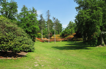 An English Park in late Spring