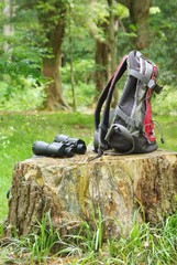 バードウォッチング