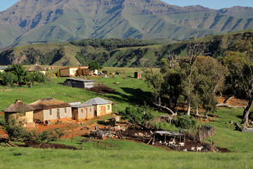 Rural settlement and livestock, South Africa - obrazy, fototapety, plakaty