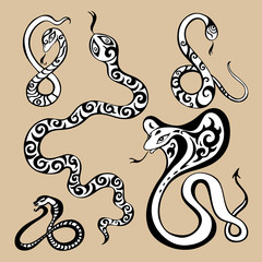 Year snakes symbol