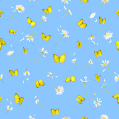 Seamless butteflies and daisies
