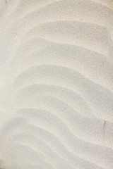Fototapeta na wymiar Wzory na piasku