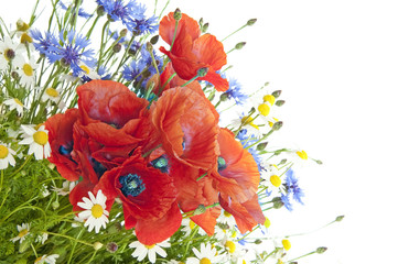 Naklejka premium poppies, daisies ,cornflowers in bouquet
