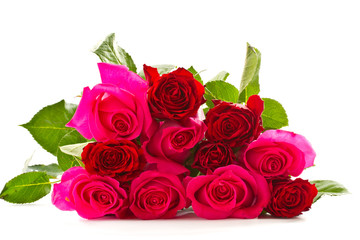 bright beautiful pink roses