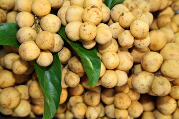 Fresh Lansium domesticum  Longkong  in Thailand