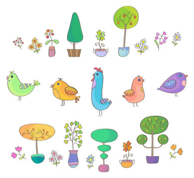 Birds, trees and flowers