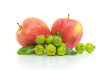 apples on a white background