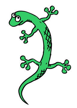 Cartoon lizard
