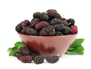 Sweet mulberry