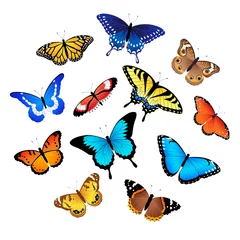 Foto auf Acrylglas Schmetterling Sammlung von Schmetterlingen