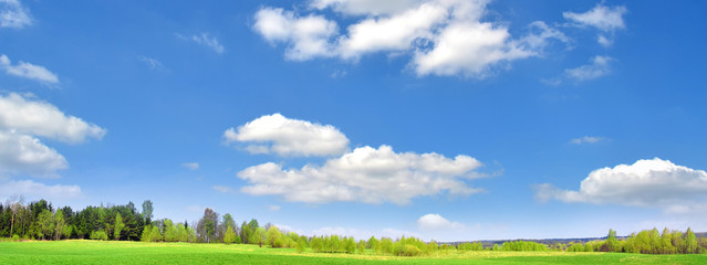 Fototapeta na wymiar Summer countryside panorama