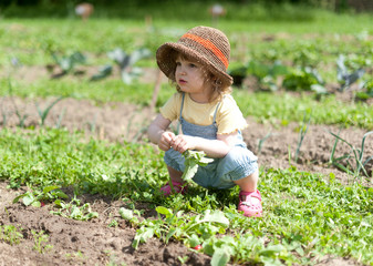 Kind kauert im Gemüsebeet