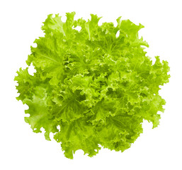 lettuce leaves