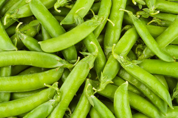 peas pod