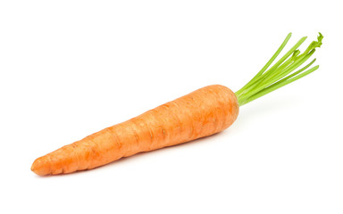 carrot single