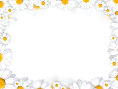 daisy flowers frame background