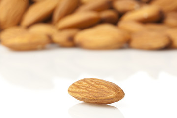 Brown dried almonds