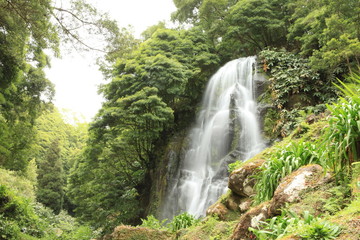 Fototapeta premium Cascata de São Miguel