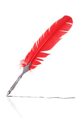 Red and silver quill © Leigh Prather