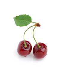Fresh cherry on a white background