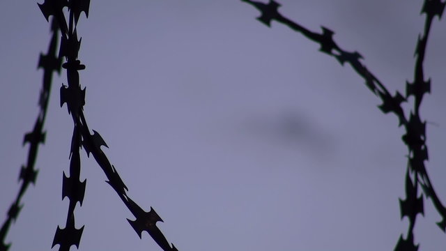 barbed wire