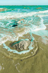 Fototapeta na wymiar Rock na plaży z softwave