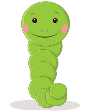 Cute worm