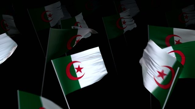 algeria_flag_crowd_3d_loopable