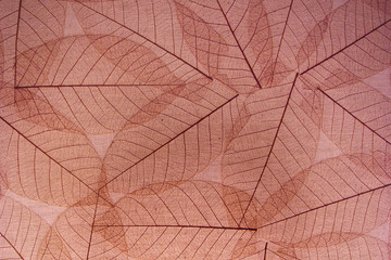 Brown transparent leaves paper background for decoration
