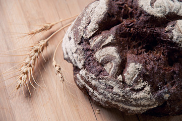 Brown bread and wheat stalks, studio shot