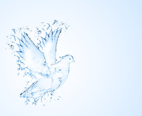 dove made out of water splashes