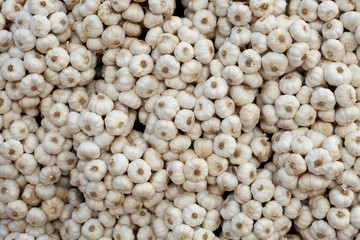 Garlic on market