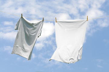Shirts an der Leine