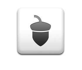 Boton cuadrado blanco bellota