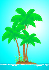 Fototapeta na wymiar niebieski tropikalny krajobraz natura z wyspy, fal, słońce i palmy